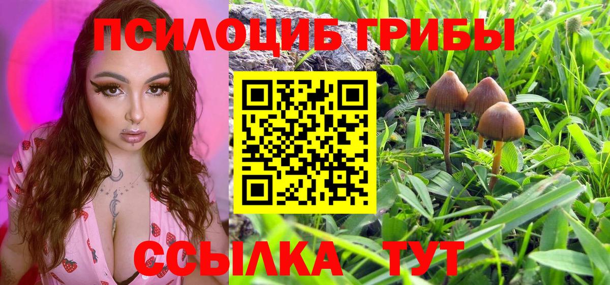 Кубинка  Галлюциногенные грибы Psilocybine cubensis  Вход с VPN 