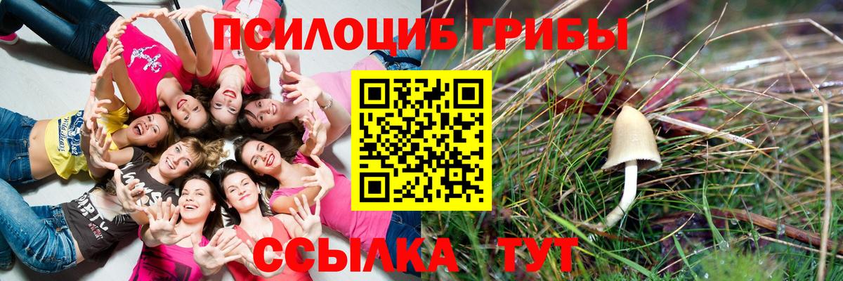 Галлюциногенные грибы Cubensis Кубинка